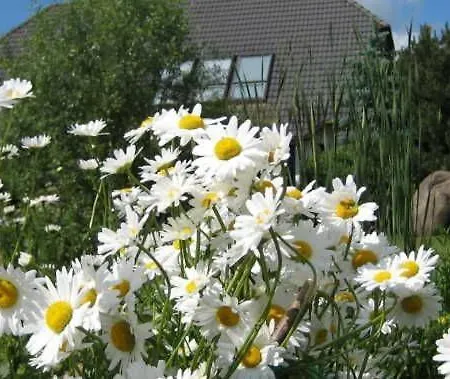 Christelhof * Wustrow (Penzlin)