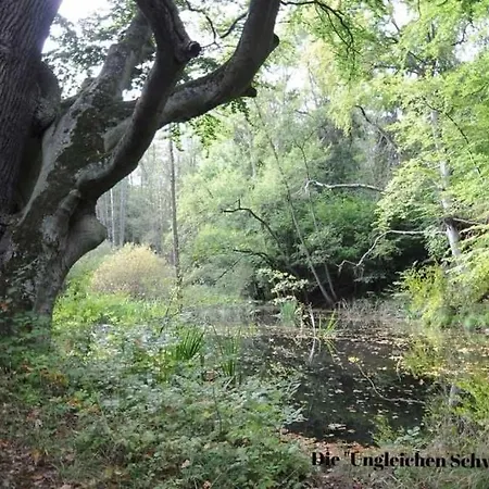 Christelhof * Wustrow (Penzlin)